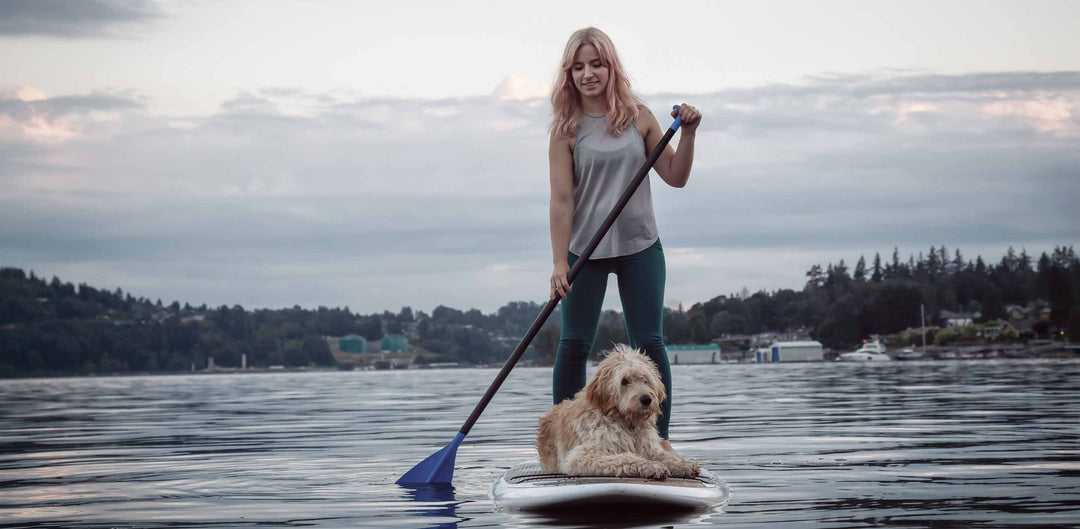 Stand Up Paddle Boarding with Your Furry Friend: A Guide to Paddling with Pets