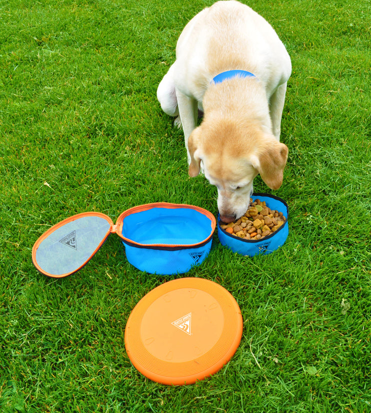 Pet Gear