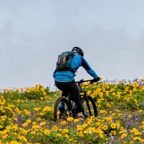 Cycling
