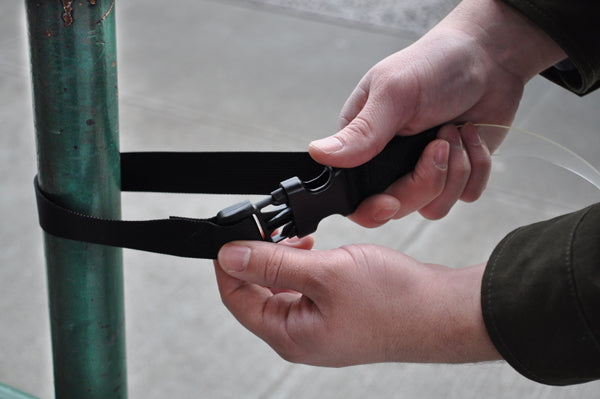 Springer Leash